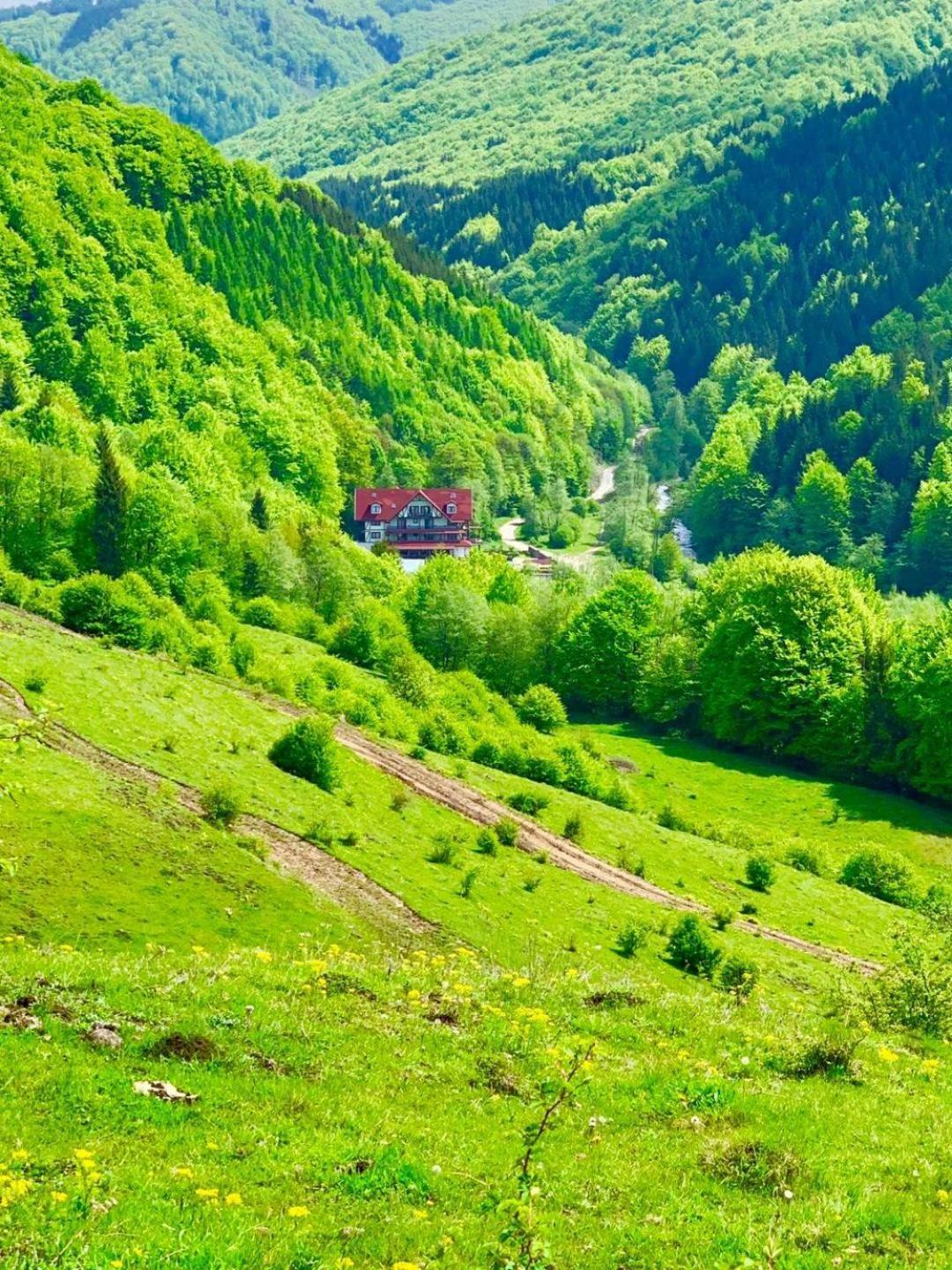 Cabana Izvoarele Doftanei Trăisteni Екстериор снимка